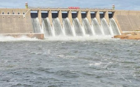 தொடர்ந்து பெய்த மழை.. அணைகளின் நிலவரம் என்ன?