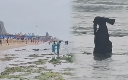 திருச்செந்தூரில் கடல் உள்வாங்கியதால் வெளியே தெரிந்த உருவம்- பரவசமடைந்த பக்தர்கள்..!