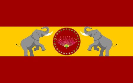 இரவோடு இரவாக தமிழக வெற்றிக் கழகத்தின் பேனர் கிழிப்பு 