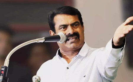தமிழக வெற்றிக் கழகத்தைப் பார்த்து திமுக பயப்படுகிறது - சீமான்