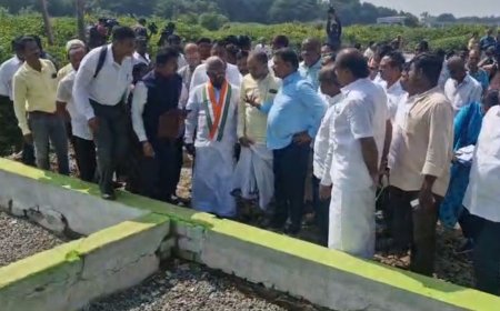 “எதற்காக இந்த திடீர் மேக்கப், யாரை ஏமாற்ற  முயல்கிறீர்கள்”- அரசு அதிகாரிகளை டோஸ் விட்ட உயர்நீதிமன்ற நீதிபதிகள்