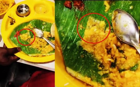 உணவில் கண்ணாடி துண்டு கிடந்தால் அதிர்ச்சி.. நல்வாய்ப்பாக தப்பிய சிறுவன்