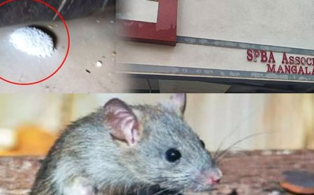 எலி மருந்தால் பறிபோன 2 குழந்தைகள் உயிர்- அதிரடி காட்டும் அதிகாரிகள்