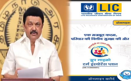 இந்தி திணிப்புக்கான பரப்புரைக் கருவியாக LIC இணையதளம் - முதலமைச்சர் மு.க.ஸ்டாலின் கண்டனம்