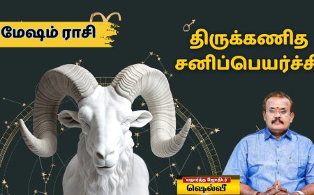 திருக்கணித சனிப்பெயர்ச்சி 2025: மேஷம் ராசிக்காரர்களுக்கு எப்படி இருக்கும்?