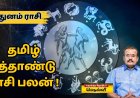 தமிழ் புத்தாண்டு ராசி பலன்: மிதுனம் ராசிக்காரர்களே..டென்ஷன் மட்டும் வேண்டாம்