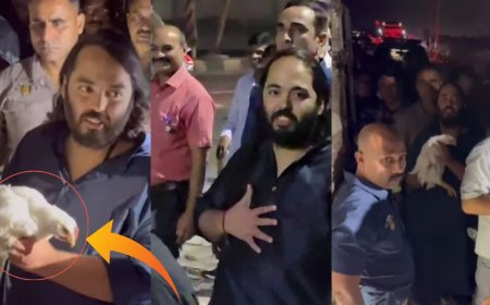 கோழி எல்லாம் எங்க கொண்டு போறீங்க..? 140 கி.மீ பாதயாத்திரையின் போது அனந்த் அம்பானி செய்த செயல்!