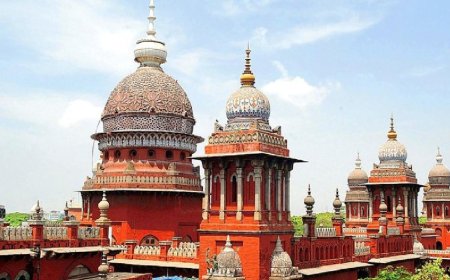 இ-பாஸ் அமல் குறித்து மறுஆய்வு செய்ய கோரிக்கை - தமிழக அரசின் மனு நாளை விசாரணை