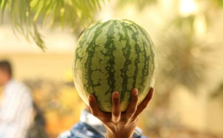 அதிகாரியால் வந்த வினை..தர்பூசணி விவசாயிகளுக்கு இழப்பீடு எப்போது? விவசாயிகள் கோரிக்கை