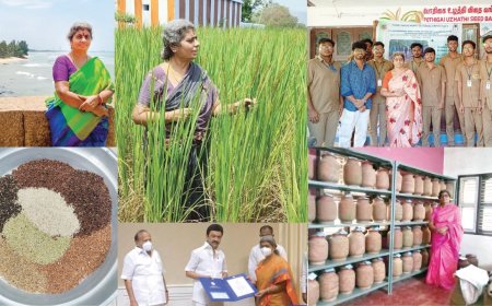 நெல்லையப்பர் ரகத்தை மீட்டதில் மகிழ்ச்சி- உழத்தி லட்சுமிதேவி.. சிறப்பு நேர்காணல்