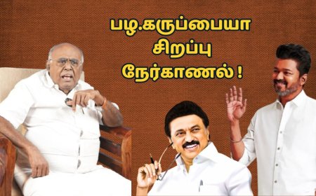விஜய்க்கு சொந்த யோசனை கிடையாது.. விளாசித் தள்ளும் பழ.கருப்பையா