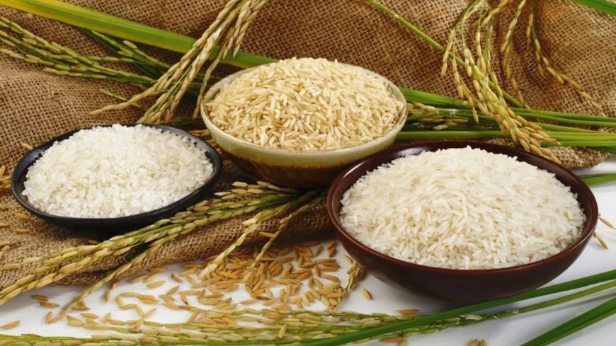 அரிசியில் அதிகரிக்கும் ஆர்சனிக்.. விஷமாகும் உணவு: அதிர்ச்சியளிக்கும் ஆய்வு முடிவு