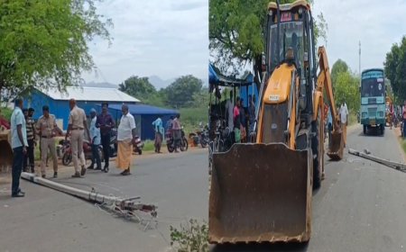 சங்கரன்கோவில் அருகே கார் விபத்து: ஒருவர் உயிரிழப்பு, 3 பேருக்கு தீவிர சிகிச்சை!