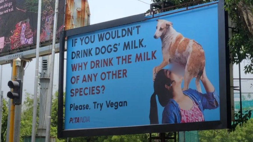 PETA இந்தியாவின் நாய் பால் விளம்பரம்: இணையத்தில் வெடித்த சர்ச்சை!