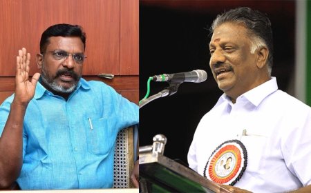 சாதியின் பெயரால் விமர்சிப்பதா? திருமாவளவனுக்கு ஓபிஎஸ் கண்டனம்