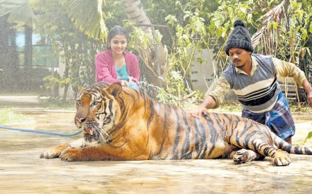 Mr Zoo Keeper movie review: ஹீரோவாக புகழ்.. யுவன் மியூசிக்.. ரசிகர்களை ஈர்த்ததா?