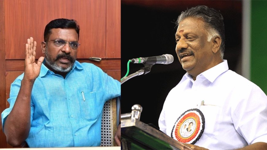 சாதியின் பெயரால் விமர்சிப்பதா? திருமாவளவனுக்கு ஓபிஎஸ் கண்டனம்