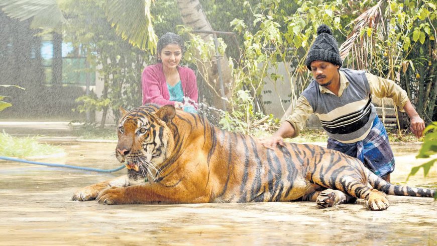 Mr Zoo Keeper movie review: ஹீரோவாக புகழ்.. யுவன் மியூசிக்.. ரசிகர்களை ஈர்த்ததா?