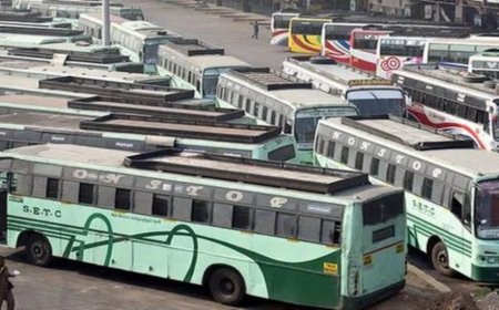 வாரவிடுமுறை தினம் : சிறப்பு பஸ்கள் இயக்க போக்குவரத்துக் கழகம் ஏற்பாடு