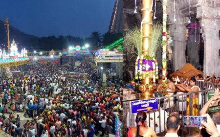 திருவண்ணாமலை அருணாசலேஸ்வரர் கோவிலில் கார்த்திகை தீபத் திருவிழா கொடியேற்றத்துடன் தொடக்கம்