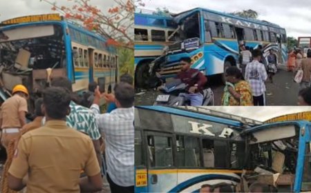 தென்காசியில் தனியார் பேருந்துகள் மோதி விபத்து : 8 பேர் பலி 40 பேர் காயம்