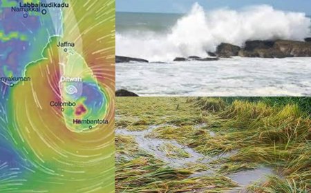சென்னைக்கு தெற்கே 430 கி.மீ. தொலைவில் டிட்வா புயல்: மீட்பு பணிக்கு ஹெலிகாப்டர் பயன்படுத்த திட்டம்- அமைச்சர் கேகேஎஸ்எஸ்ஆர் 