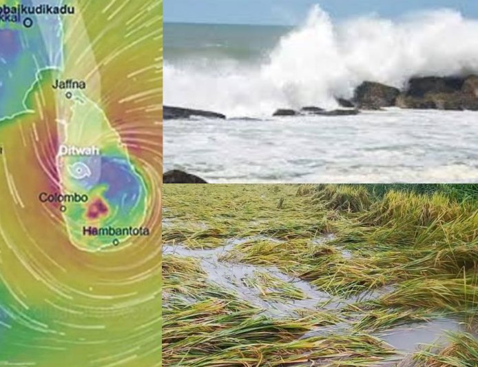 சென்னைக்கு தெற்கே 430 கி.மீ. தொலைவில் டிட்வா புயல்: மீட்பு பணிக்கு ஹெலிகாப்டர் பயன்படுத்த திட்டம்- அமைச்சர் கேகேஎஸ்எஸ்ஆர் 