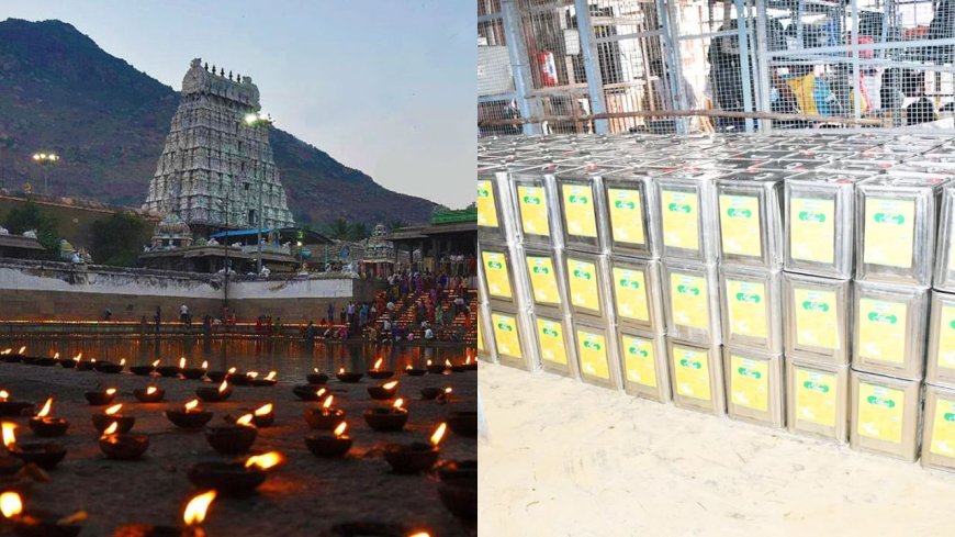 கார்த்திகை தீபம் ஏற்பாடுகள் தீவிரம் : மகாதீபத்திற்கு அண்ணாமலையார் கோயிலில் 4,500 லிட்டர் நெய் கொள்முதல்!