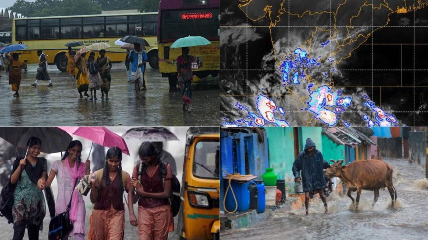 புயலாக மாற வாய்ப்பு : தென் மாவட்டங்களுக்கு ஆரஞ்ச் அலார்ட் 