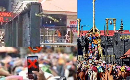 சபரிமலையில் சுற்றி திரியும் பாம்புகள் : ஐயப்ப பக்தர்களுக்கு வனத்துறை எச்சரிக்கை 