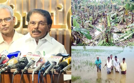 மழையால் பாதிக்கப்பட்ட பயிர்களுக்கு ஹெக்டேருக்கு ரூ.20,000 நிவாரணம் வழங்கப்படும்: தமிழக அரசு அறிவிப்பு