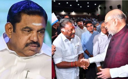 ஓபிஎஸ் திடீர் டெல்லி பயணம்: அமித்ஷா சந்தித்து ஆலோசனை : அதிர்ச்சியில் எடப்பாடி 