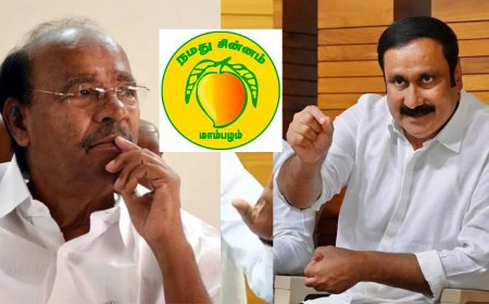 அப்பா-மகன் சண்டையால் வந்த வினை : மாம்பழம் சின்னம் முடக்கப்படும் தேர்தல் ஆணையம் 