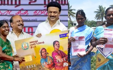 டிச.12-ம் தேதி நேரு உள்விளையாட்டு அரங்கில் விழா : விடுப்பட்ட மகளிருக்கு உரிமை தொகை திட்டம் : ஸ்டாலின் தொடங்கி வைக்கிறார்