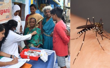 தமிழகத்தில் டெங்கு பாதிப்பு அதிகரிப்பு : பொதுமக்கள் எச்சரிக்கையாக இருக்க அரசு அறிவுறுத்தல்
