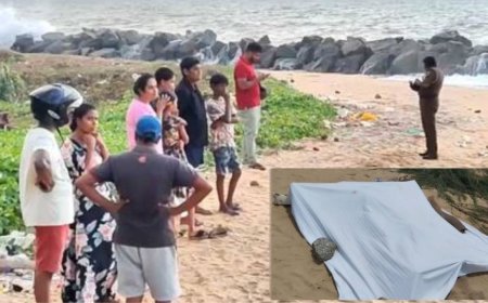 மெரீனா கடற்கரையில்  பரபரப்பு: தலை, கை இல்லாத பெண் சடலம் கண்டெடுப்பு ?