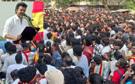 புதுச்சேரி அரசை பார்த்து தமிழக அரசு கற்றுக் கொள்ள வேண்டும் : ஸ்டாலினுக்கு விஜய் அட்வைஸ்