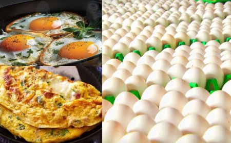 விண்ணை தொடும் முட்டை விலை உயர்வு: இனி ஆம்லெட், ஆஃபாயில் குட்பை 