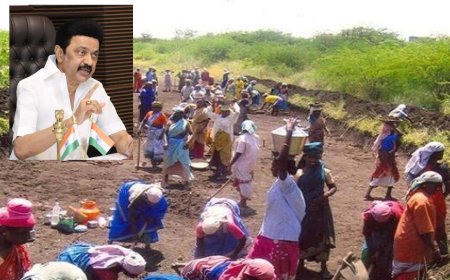 100நாள் வேலைவாய்ப்பு திட்டத்தை பாஜக சிதைக்கிறது : முதல்வர் ஸ்டாலின் குற்றச்சாட்டு 