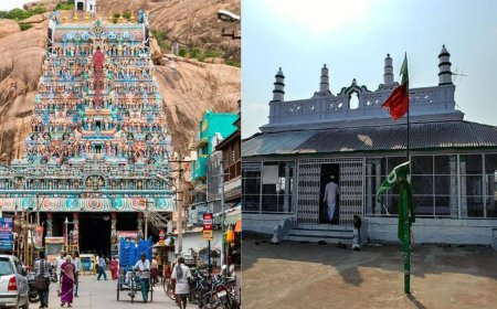 திருப்பரங்குன்றம் வழக்கு: தூண் இருக்கும் இடம் தர்காவிற்கு சொந்தம் :  நீதிமன்றத்தில் காரசார விவாதம் 