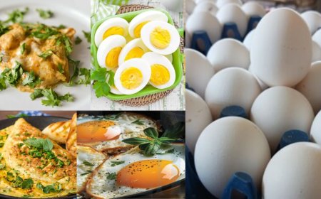 ஆம்லெட், ஆப்பாயில், கலக்கி பிரியர்களுக்கு ஷாக் நியூஸ் : முட்டையில் புற்றுநோய் ஏற்படுத்தும் கெமிக்கல்கள்? 