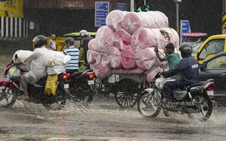 தமிழகத்தில் பரவலாக மழை பொழிவு : வானிலை ஆய்வு மையம் தகவல் 