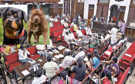 வீட்டில் நாய் வளர்த்தால் ரூ 1 லட்சம் அபாரதம் ?: சென்னை மாநகராட்சி பகீர்