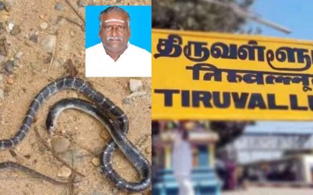 இன்சூரன்ஸ் பணத்திற்கு கொலை செய்த மகன்கள்: பாம்பை கடிக்க வைத்து தந்தையை கொன்ற கொடூரம் 