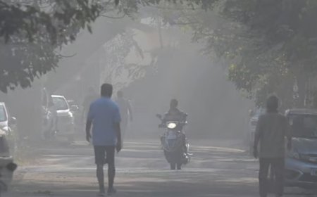 நாளை முதல் குளிர் வாடி வதைக்கும் : வானிலை ஆய்வு மையம் எச்சரிக்கை