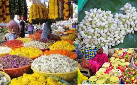 அதிக பனிப் பொழிவு : பூக்களின் விலை கிடுகிடு உயர்வு - மல்லிகை கிலோ 2,000 ரூபாய்க்கு விற்பனை !!!
