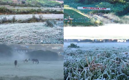 காஷ்மீராக மாறிய ஊட்டி:வெப்பநிலை மைனஸ் 1 டிகிரி பதிவு , உறைபனியால் சுற்றுலா பயணிகள் தடை?