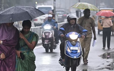 புத்தாண்டில் மிதமான மழை வாய்ப்பு : வானிலை ஆய்வு மையம் தகவல்