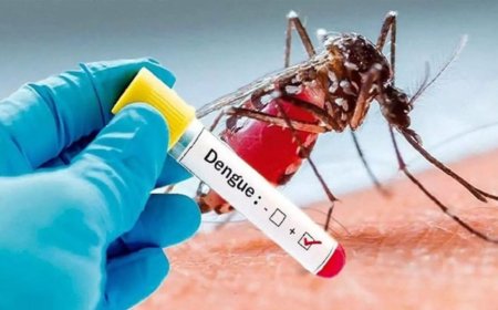 தமிழகத்தில் கடந்தாண்டு டெங்கு காய்ச்சலுக்கு 25,278 பேர் பாதிப்பு 