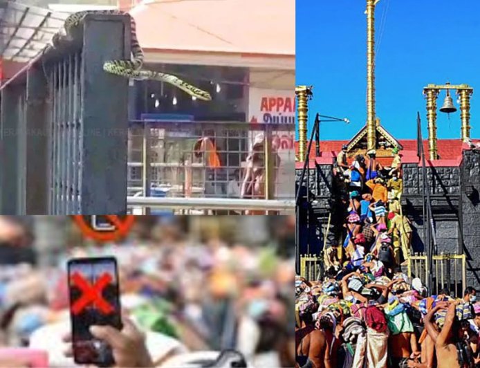 சபரிமலையில் சுற்றி திரியும் பாம்புகள் : ஐயப்ப பக்தர்களுக்கு வனத்துறை எச்சரிக்கை 